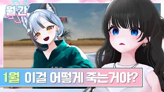 2025 월간아카이브